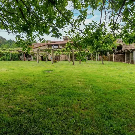 Alouminos Do Ribeiro Ourense