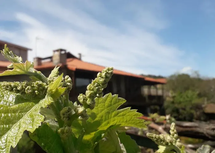 Alouminos Do Ribeiro Apartment Ourense